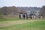 WJ6_9126