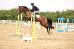SBM_026238
