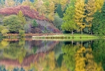 Trentabank reservoir reflections (1)