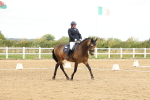 SBM_008865