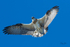 0A3A5037 Flaps engaged