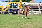 SBM_19851