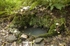 St Madrons Well, Cornwall
