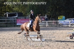 BPP_9372