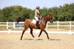 SBM_004870