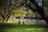 ACP_5272-1