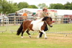 SBM_04351