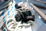 Musto gloves