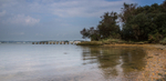 Bramble Bush Bay Reflections
