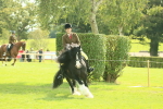 SBM_66634