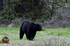 3HPhotography5-20-25_GTNP_399_