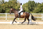 SBM_006666