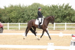 SBM_006331