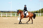 SBM_000273