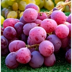Grapes
