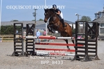 BPP_8433