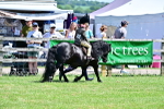 SBM_05762