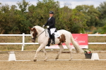 SBM_006589