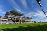 Race 5 3.50pm Starman At Tally Ho Stud Garrowby Stakes portfolio