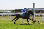 150726-Race 2-South West-2977