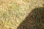 SBM_13058