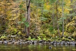 Fall on the Merced