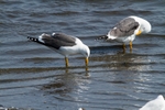 20110430-IMG_5202