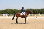 SBM_004296
