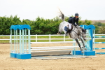 SBM_001179