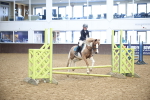 SBM_000253