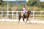 SBM_002546