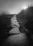 Path to Cow and Calf, Ilkley