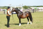 SBM_09097