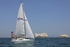 190629 EGRET GBR3807L D43A4843