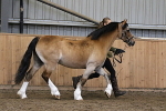 SIAL9663