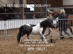 BPP_0817