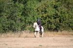 WJ6_7069