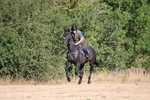 WJ6_6759