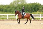 SBM_006553