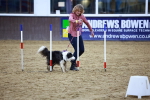 SBM_006509