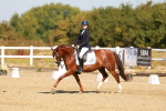 SBM_016799