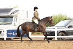 SBM_00262