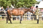SBM_15972