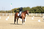 SBM_017314