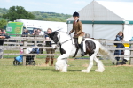 SBM_17172