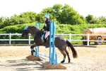 SBM_006783