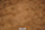 240526A-131040-08261