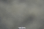 230909-184138-08362
