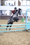 SBM_000648