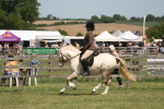 SBM_06957